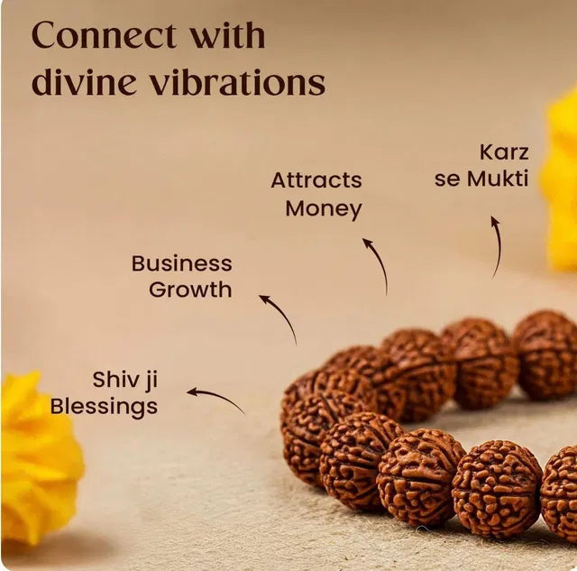 7 Mukhi Rudraksha Bracelet